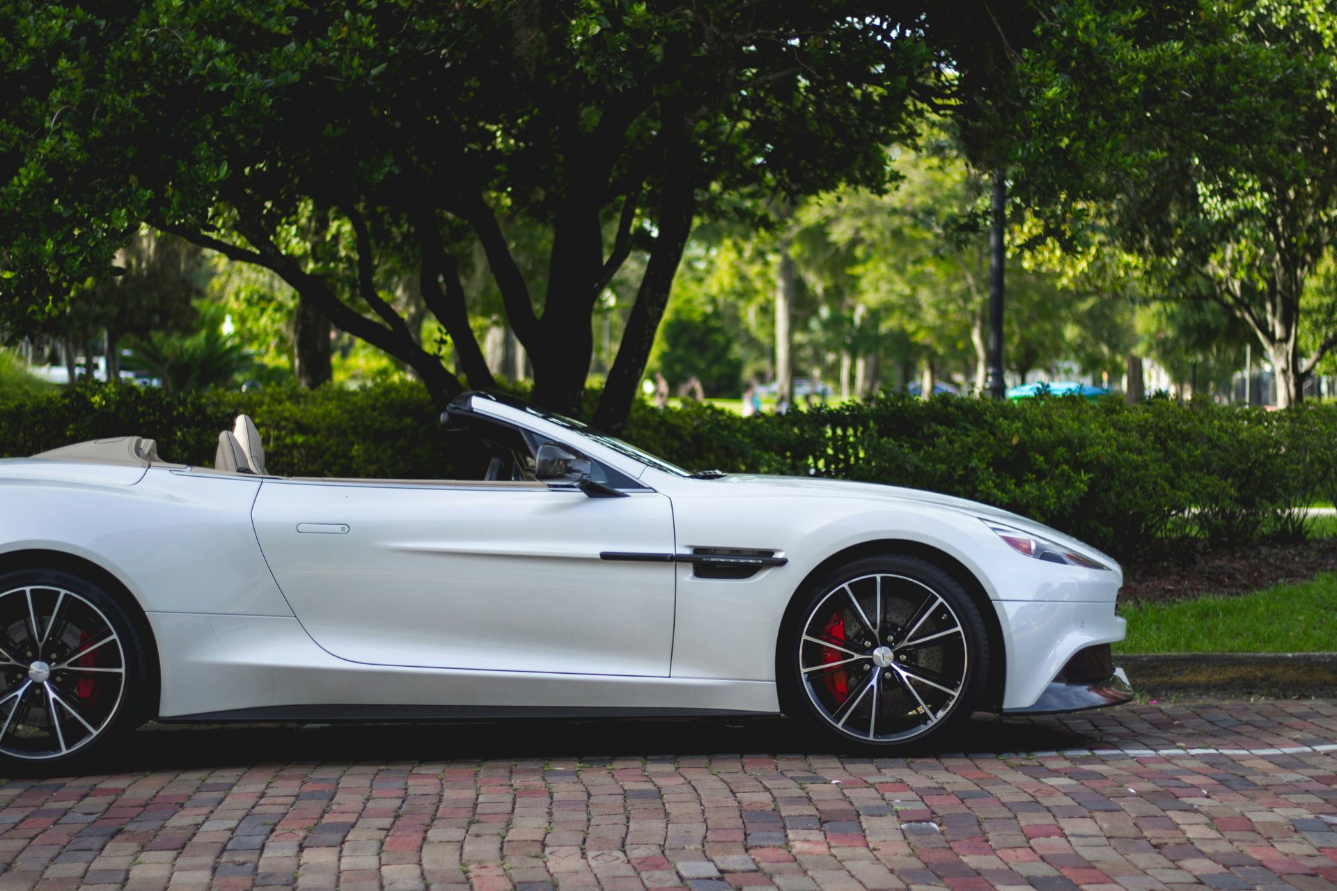 Aston Martin convertible blanco estacionado cerca de unos árboles.